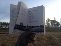 Image 4 of Tell the Turning by Tara K. Shepersky & Lucy Bellwood