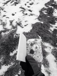 Image 4 of This Party of the Soft Things by Nhatt Nichols