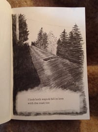 Image 3 of This Party of the Soft Things by Nhatt Nichols