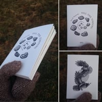 Image 5 of Tell the Turning by Tara K. Shepersky & Lucy Bellwood