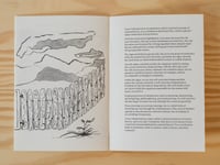 Image 5 of Bloom & Doom by Murat Cem Mengüç