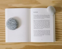 Image 3 of Forage Like a Bear by Chris Fink & John Porcellino