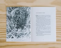 Image 3 of Gardening Beneath a Falling Piano by Simon Moreton