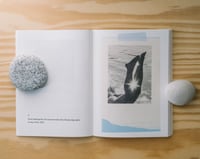 Image 3 of Hands & Feet of Friends & Family by Helen Korpak