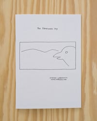 Image 1 of [AID FOR UKRAINE] The Stoneware Jug by Stefan Lorenzutti & John Porcellino