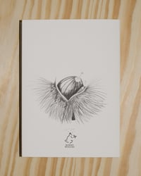 Image 2 of This Party of the Soft Things by Nhatt Nichols