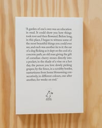 Image 2 of Notes from a Polish Allotment by Alex Rossiter