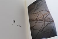 Image 4 of Running to the Sun by Antonina Gugała