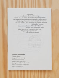 Image 2 of Cracked Shells by Dimitra Charamandas