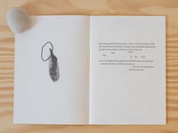 Image 3 of Cracked Shells by Dimitra Charamandas